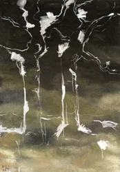 Birken in het donker