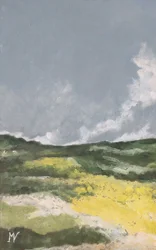 Velden met gele bloemen 1