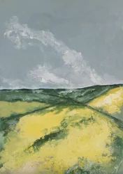 Heuvels en bloemenvelden