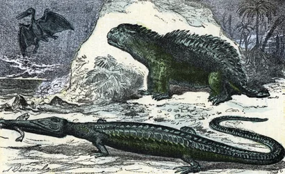Prehistorie: voorstelling van een teleosaurus (verlengde snuit) en een hyleosaurus uit het Jura tijdperk gravure uit "Natuur en Mens" door Rengade 1881