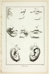 Ontwerp: Gezichtsanatomie uit Encyclopédie