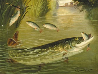 De Vier die Ontsnapten!