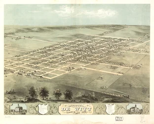 Vogelvluchtperspectief van de stad De Witt, Clinton Co, Iowa 1868. LOC 73693396