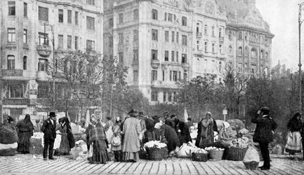 Grote bloemenmarkt, Boedapest, Hongarije, 1922