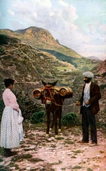 Muildier met waterkruiken, Sicilië, Italië, ca. 1923