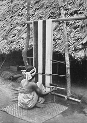 Iebu wever, 1912