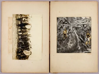 Māori en andere wilden, studiemap voor het boek Concealing Coloration in the Animal Kingdom