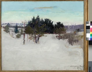 Winterlandschap