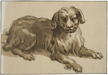 Langharige hond