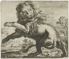 Leeuw en slang in gevecht