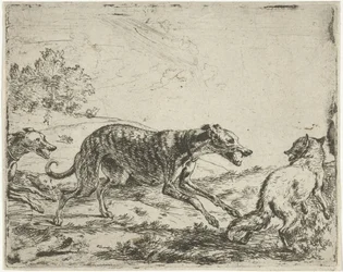 Vos en de drie honden