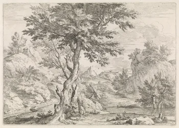 Heuvelachtig landschap met rotsen