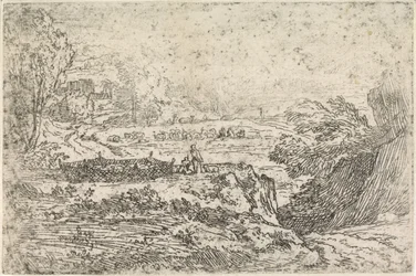 Landschap met schapen