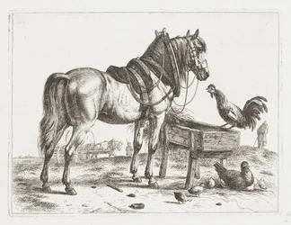 Paard bij een voederbak
