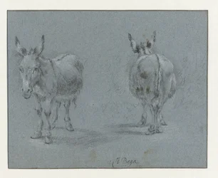 Twee studies van een ezel, van voren en van achteren gezien