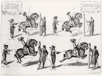 Illustratie uit een Rijhandboek, gegraveerd door Peeter Clouwet (1629-70), 1658