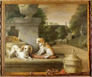 Twee honden in een park, hondenmanden en een landhuis