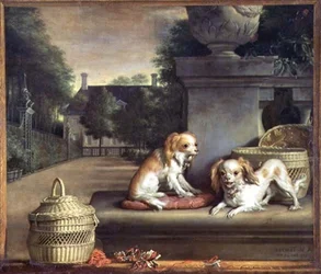 Twee Honden in een Park