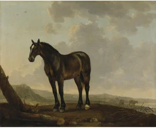 Portret van een bruin paard in een landschap