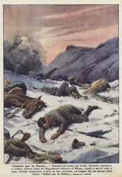 Gevallen voor het vaderland