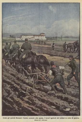 Zoals de oude Romeinen, de ploeg naast het zwaard