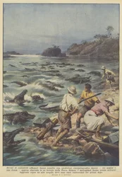 Tientallen hongerige krokodillen vielen een Deense filmexpeditie aan