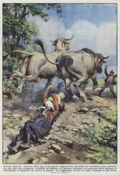Moederlijke heldhaftigheid