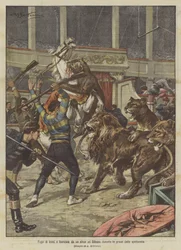 Ontsnapping van leeuwen en leeuwinnen uit een circus in Odessa tijdens de repetities van de show