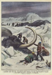 De getuigen van de prehistorie