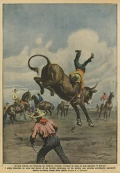 Op een landgoed in Canada probeert een cowboy een kudde runderen te stoppen