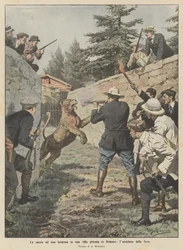 De jacht op een leeuwin in een privévilla in Brianza, de dood van het beest