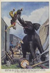 In de lucht gegooid, verpletterd en dodelijk vertrapt door een woedende olifant