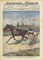 De curieuze uitdagingen