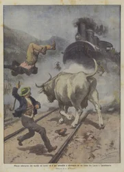 Woedende koe die een man doodt en vervolgens wordt aangereden en verpletterd door een trein tussen Lucca en Castelnuovo