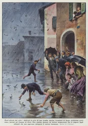 Vissen gevallen uit de lucht! Opgetild door een zeetrompet gevormd op zee