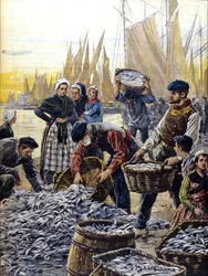 Sardinevisserij in Bretagne in 1903 illustratie door Achille Beltrame