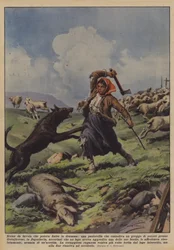 Een sprookjesscène die in een drama had kunnen eindigen, een herderin die een kudde schapen bewaakt