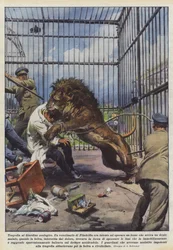 Tragedie in de dierentuin