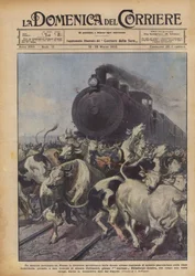 Een onvrijwillige slachting