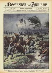 Een schilderachtige vlucht van paarden op het platteland van Novara