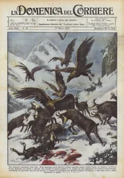 Een merkwaardig gevecht op de toppen