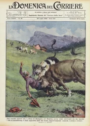 Een oude dame die, in Gleno di Montagna, in Trentino, tussenbeide wilde komen tussen twee ?