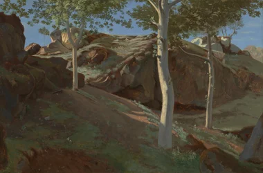 Berkenbomen op een rotsachtige helling: Fontainebleu