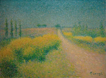 De weg met brem