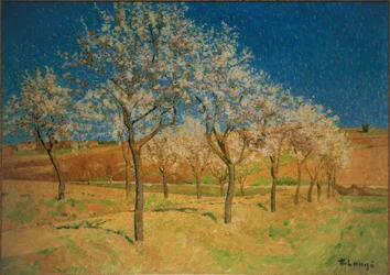 Landschap met bloeiende bomen