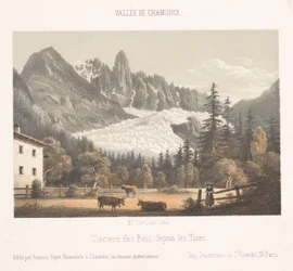 Zicht op Chamonix en de Mont Blanc vanuit het noorden