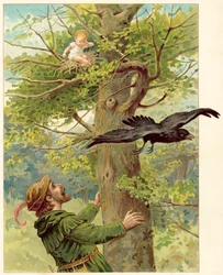 Vogelzoeker in de Boom