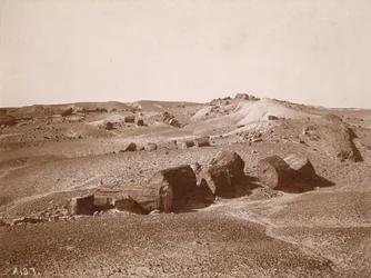 In het versteende woud (algemeen overzicht, Middle Park),c.1895-1897 (foto)