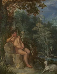 Sint Johannes de Doper in de wildernis