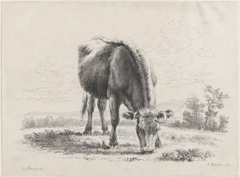 Koe die graast, 1805